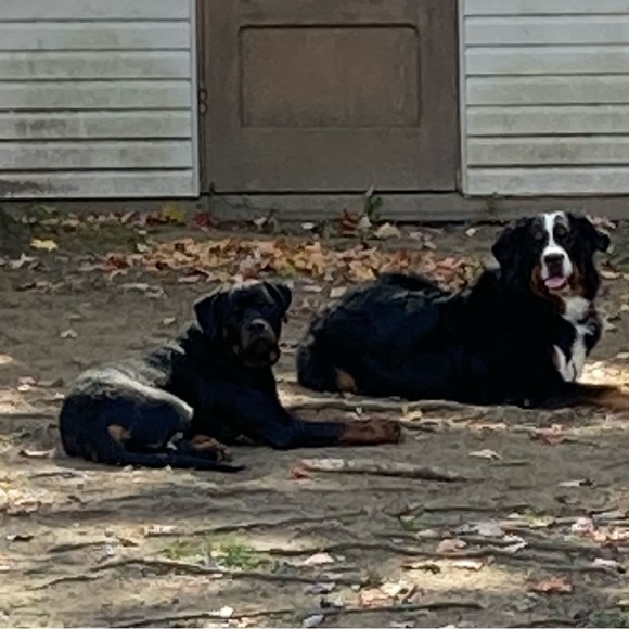 Meet your Posher, Caro - Picture 5 of 6